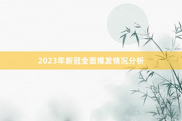 2023年新冠全面爆发情况分析